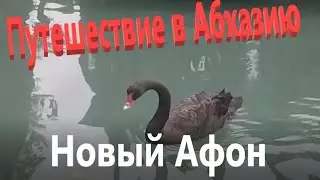 Путешествие в Абхазию.