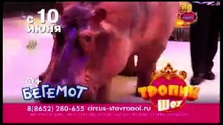 «Тропик Шоу» в Ставрополе