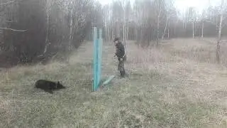 Габи 180см отвалилась доска 20