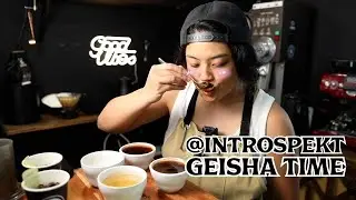 Cupping your coffees | Introspekt Geisha