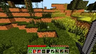 MINECRAFT LETS PLAY EPISODE 1