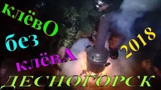 ЗИМНЯЯ РЫБАЛКА/НЕ КЛЮЕТ/ОТДЫХ