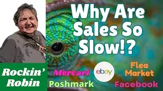 Why are eBay Sales Slow? What Can You do about it? #ebayresellers  #ebayflippers