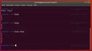 How to cat multiple files at the same time in Linux