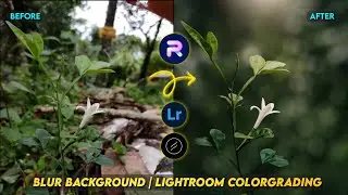 Blur Image Background | Mobile Photo Editing Tutorial | Lightroom Colorgrading | PhotoRoom Editing