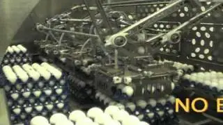 PELBO CRONO 4 EGG LOADING SYSTEM  130.000 egg/h