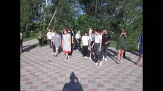 MVI 2095