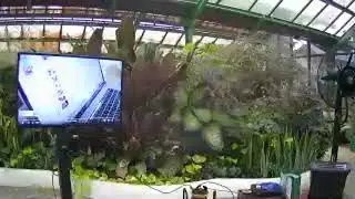 DOSEN JUGA MANUSIA