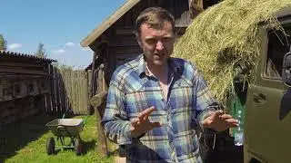 Ощутимая польза от УАЗ 3303 / Водные процедуры для собаки