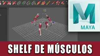 Como activar las herramientas y atajos de músculos en AUTODESK MAYA 2019