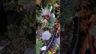 Summer Winds Garden Center