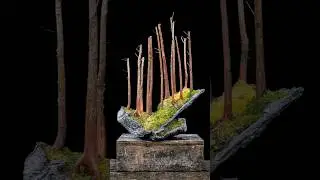 How to Make a Slanted Bonsai Forest