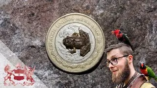 Discovering Mexico’s Smallest Frogs | Tom Jameson