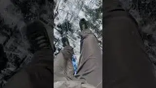 Коньки Nord Way Now550