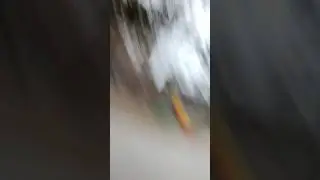 прекрасный день