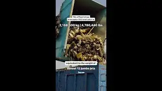 Interceptor 002 Intercepting Trash in Malaysia #shorts