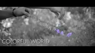 COLORFUL WORLD
