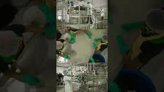 Плантация Алоэ Вера Forever/ Форевер
