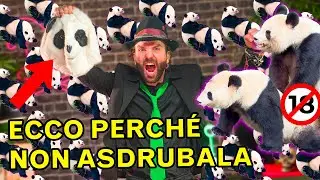 Abbiamo scoperto perché il PANDA non vuole 
