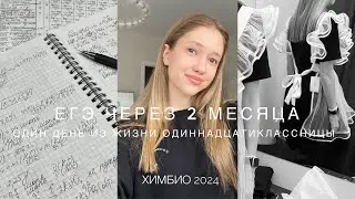 Study with me| ЕГЭ через 63 дня…| химбио 2024🧪🧬