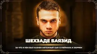 За что Сулейман казнил своего сына шехзаде Баязида?