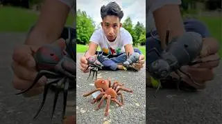 Three Remote Control Spider And Giant Ant Unboxing🔥🕷