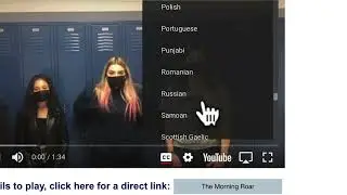 How To Translate a YouTube Video