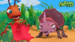 Matador, ole!!! | Funny Cartoons For All The Family! | Funny Videos for kids | ANTIKS