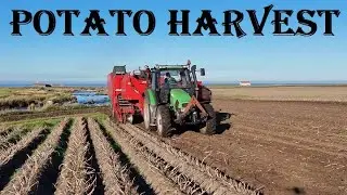 Potato Harvest 2024