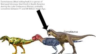 Abelisauridae Size Comparison without music