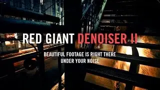 DENOISER II