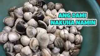 Ang daming nakuha naming clamp shell.