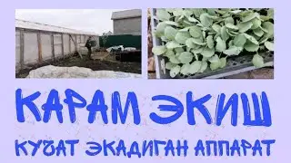Карам экиш 🥬
