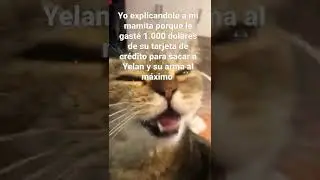 Gastando 1.000 dólares en Yelan Genshin Impact 