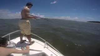 Shark Fishing Gopro