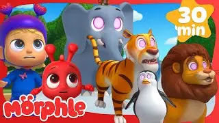 The Animals are Hypnotized Again! 🦁🐘 | Cartoons for Kids | Mila and Morphle