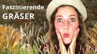 Welche Gräser eignen sich für den Garten?