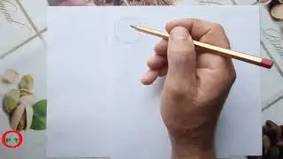 Главные заблуждения в жизни...Видео 115...