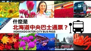 北海道旅途省钱支招 - 北海道中央巴士通票 / INTER CITY BUS PASS 2018 - 1