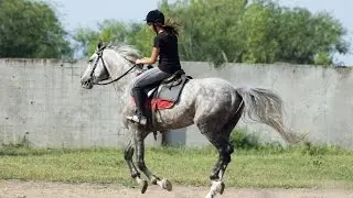 Алена и Клив