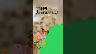 Happy wedding anniversary Greenscreen template effect video//Anniversary template effects video