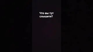 бибра