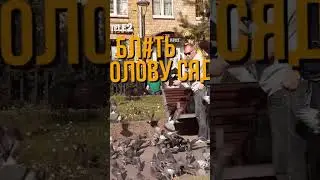 Присмотри за голубями, я сейчас приду / пранк Марк Булах 