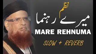 Mare Rehnuma new motivational nazam Ulama e Deoband #slowedandreverb Mohiuddin