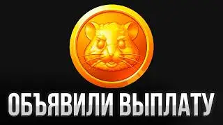 Hamster Kombat объявил аирдроп (выплату). ОПЯТЬ СКАМ ДА?!