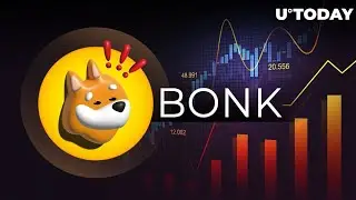 BONK Price Prediction for January 7, 2024 - Crypto Insights 