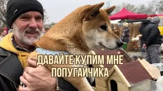 Рынок Бачка Топола. Продается дом 