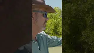 How to catch Barramundi on surface. 