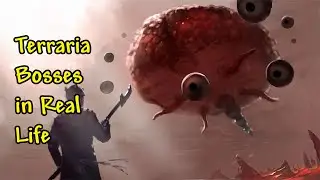 Terraria - Bosses in Real Life