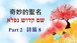 奇妙的陳設  -  奇妙的聖名系列   Part 2
